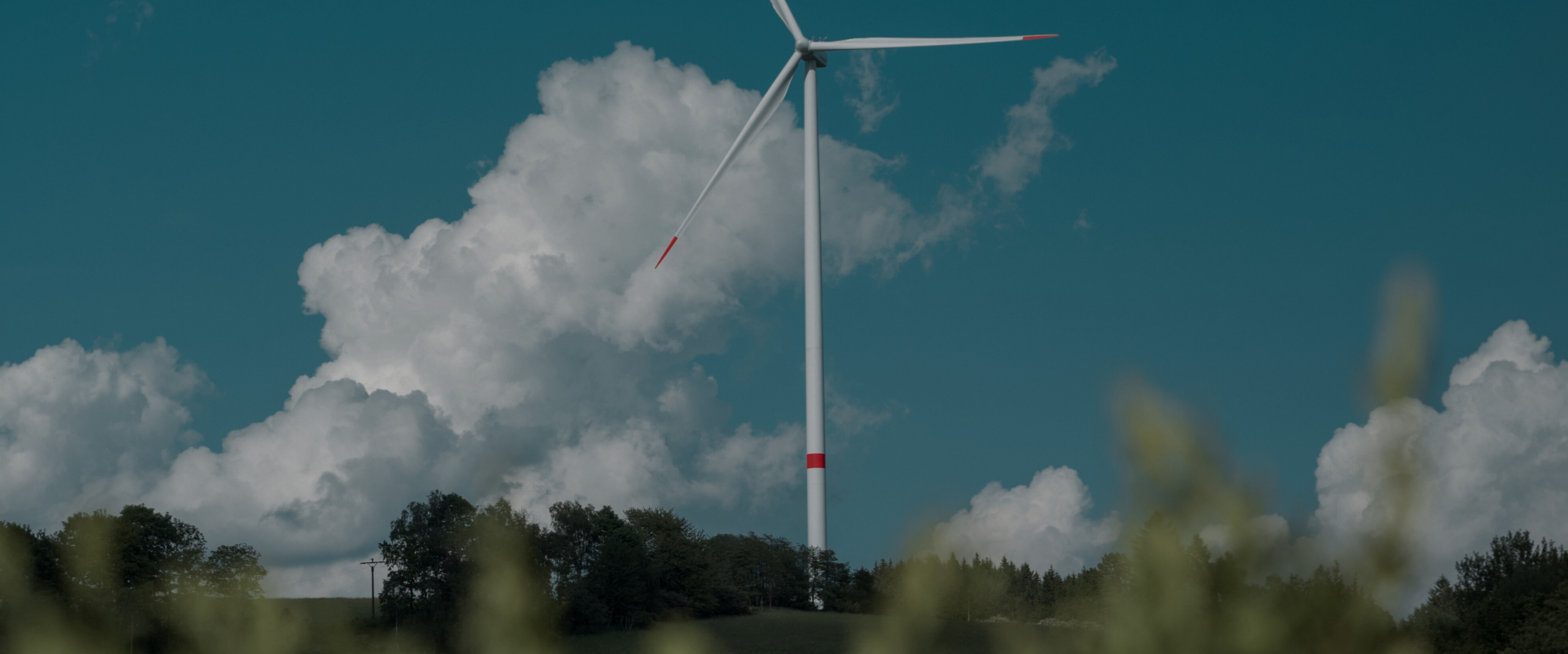 Plastic Consult per Assobioplastiche – La filiera dei polimeri compostabili – Dati 2024