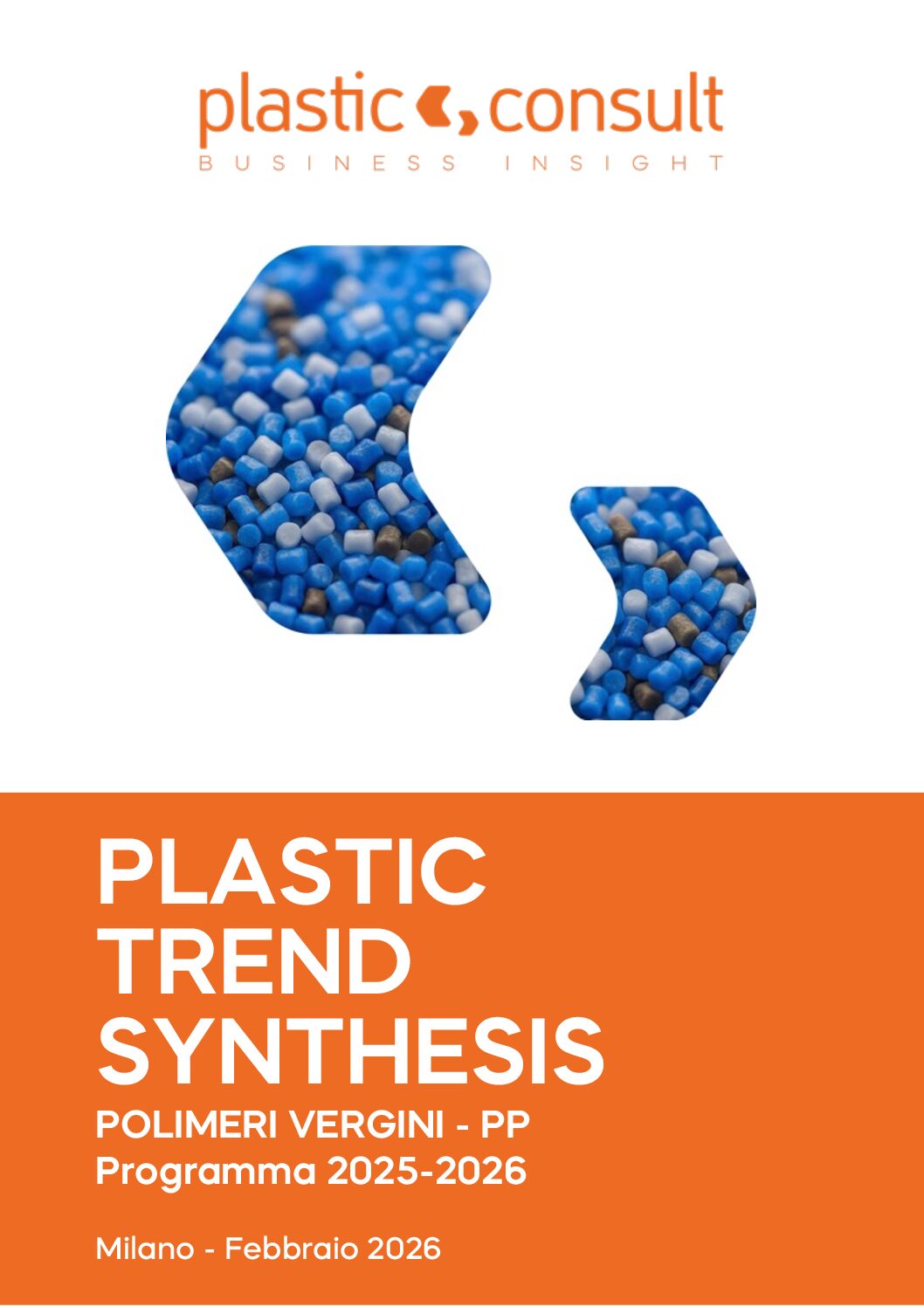 PtS 2026 Polimeri Vergini_Sezione 6_PP